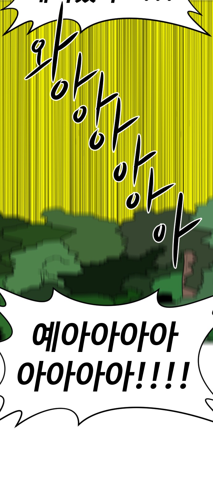 111 페이지