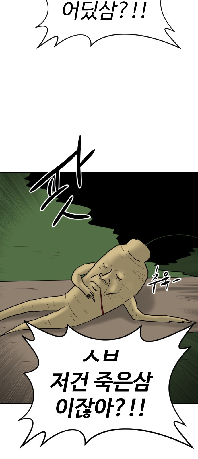77 페이지