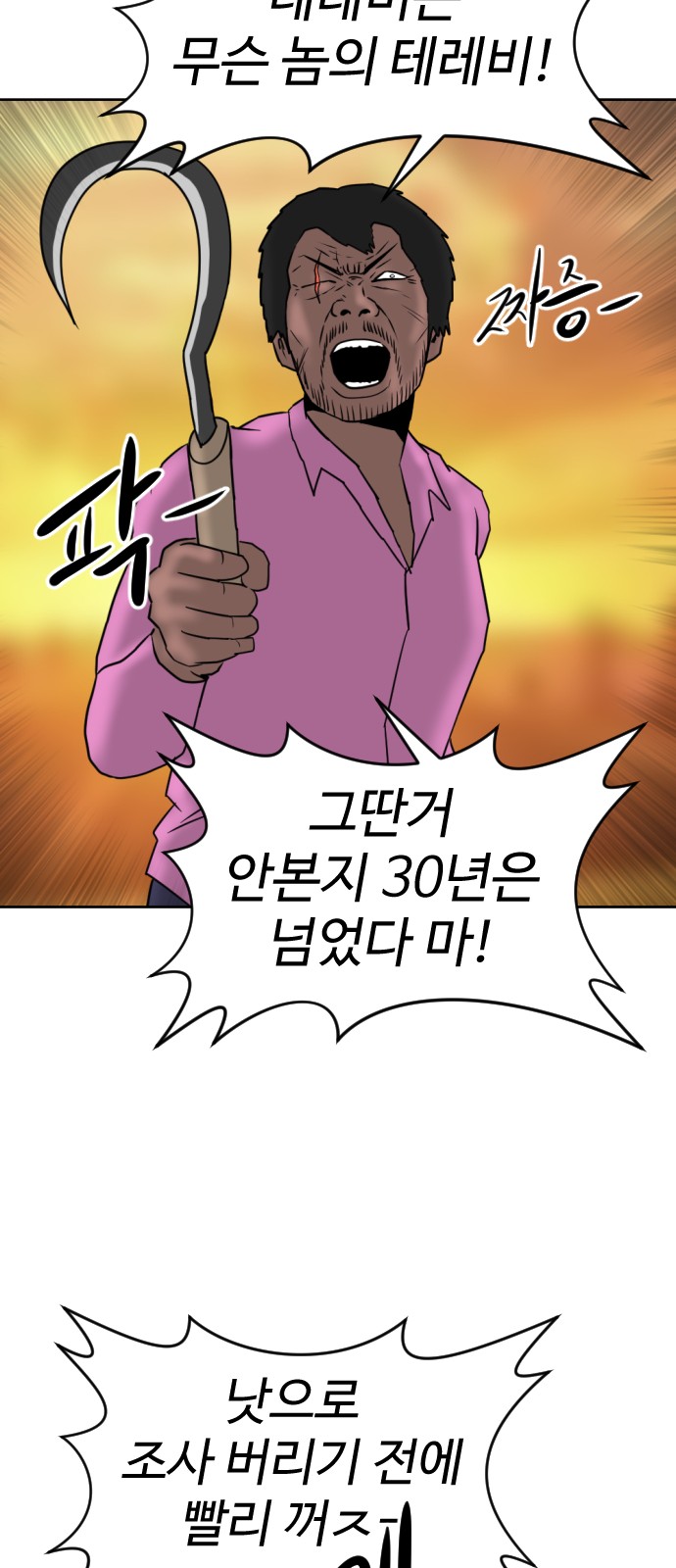 51 페이지