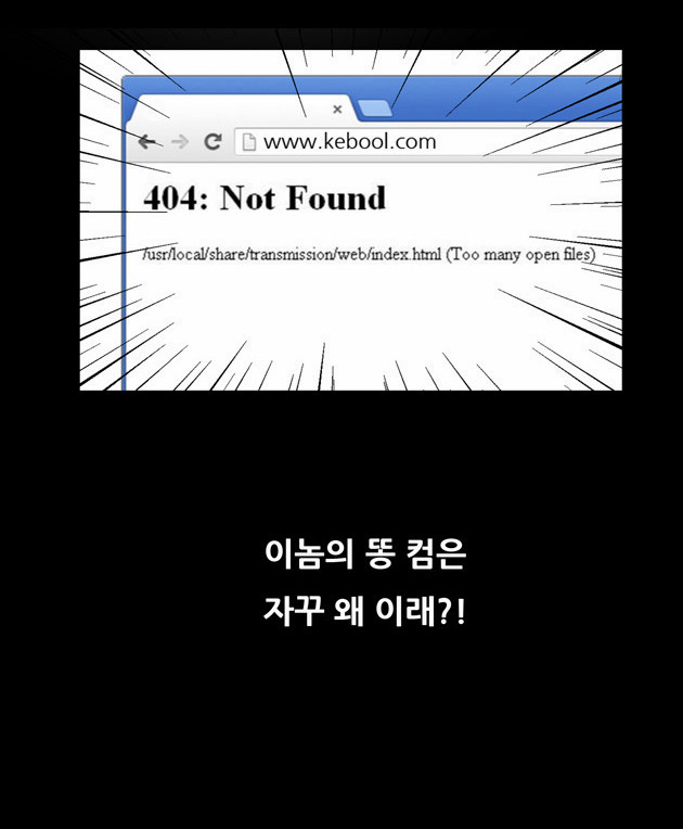 8 페이지