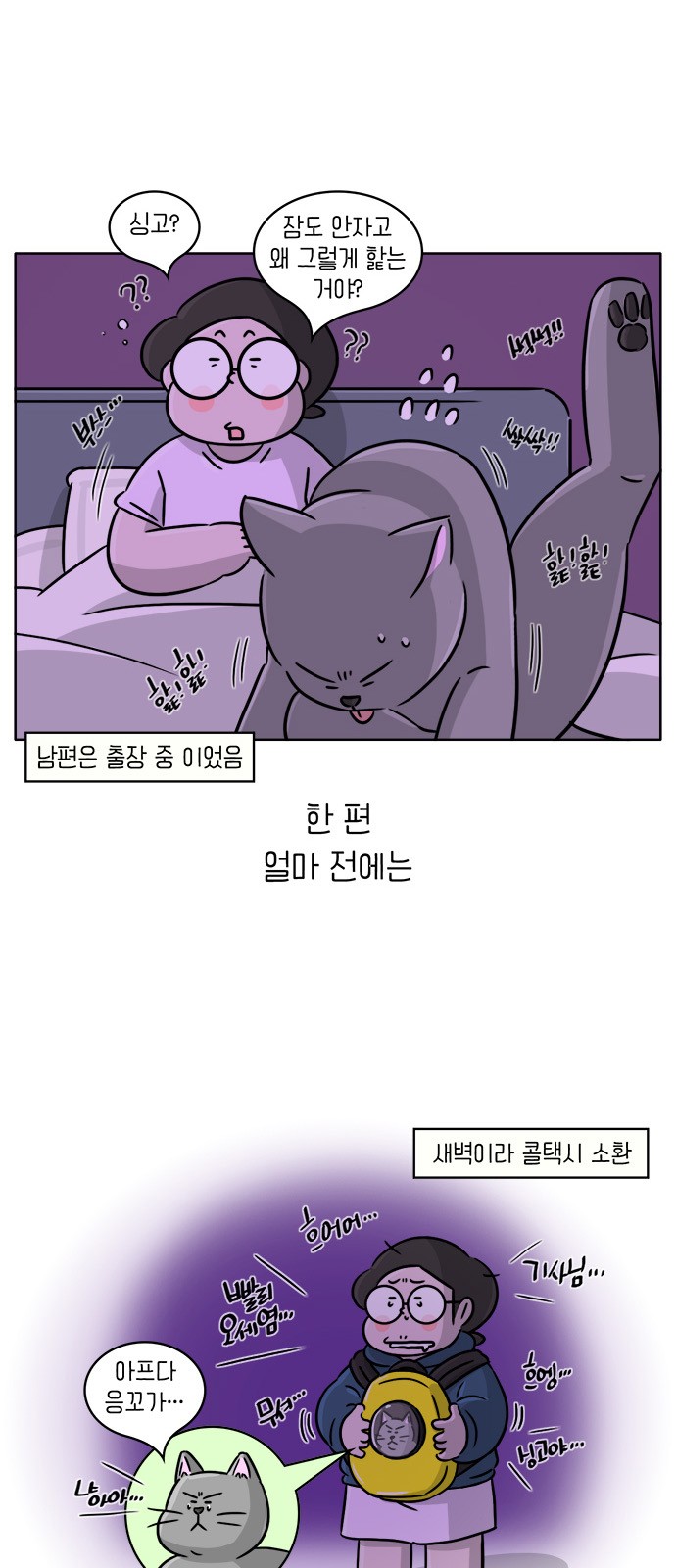 8 페이지
