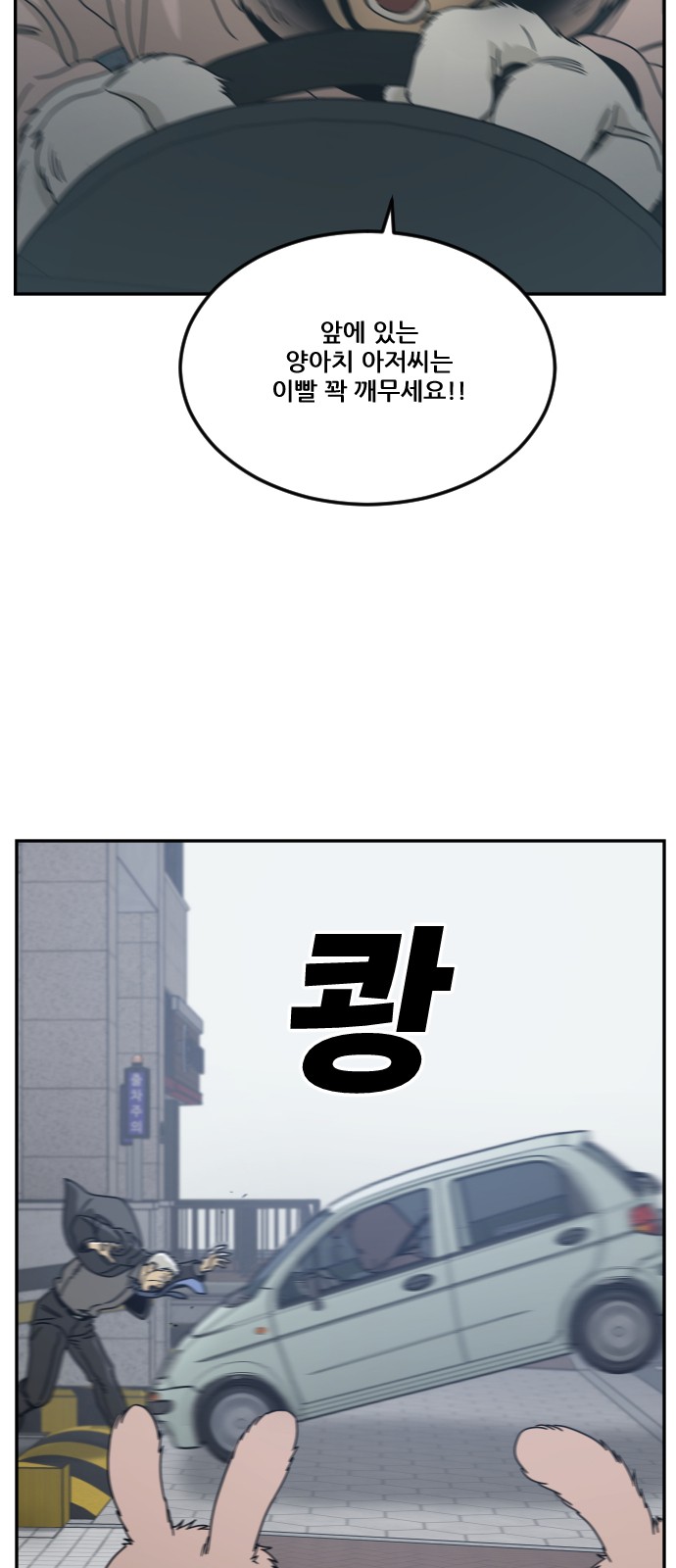 46 페이지