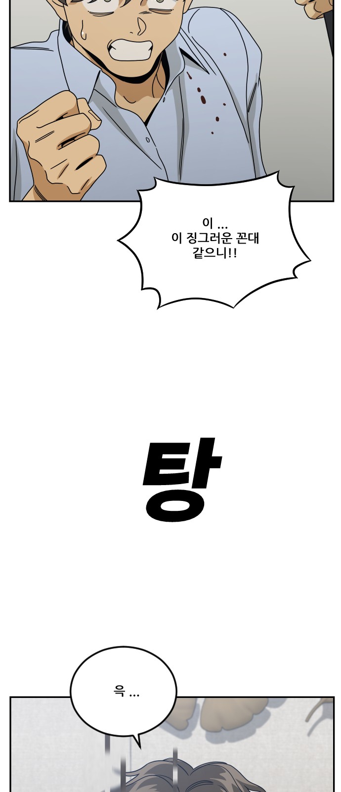 66 페이지