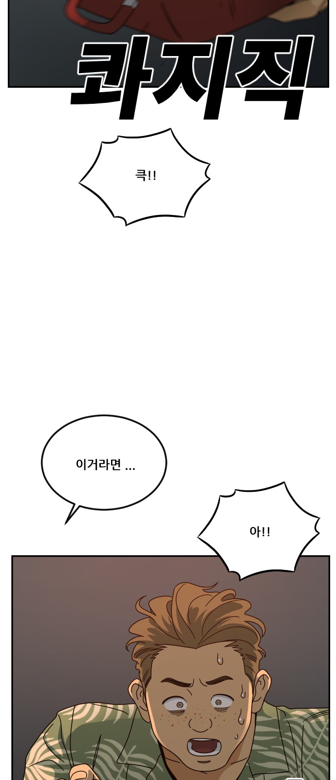 48 페이지