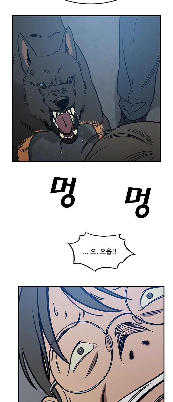 66 페이지