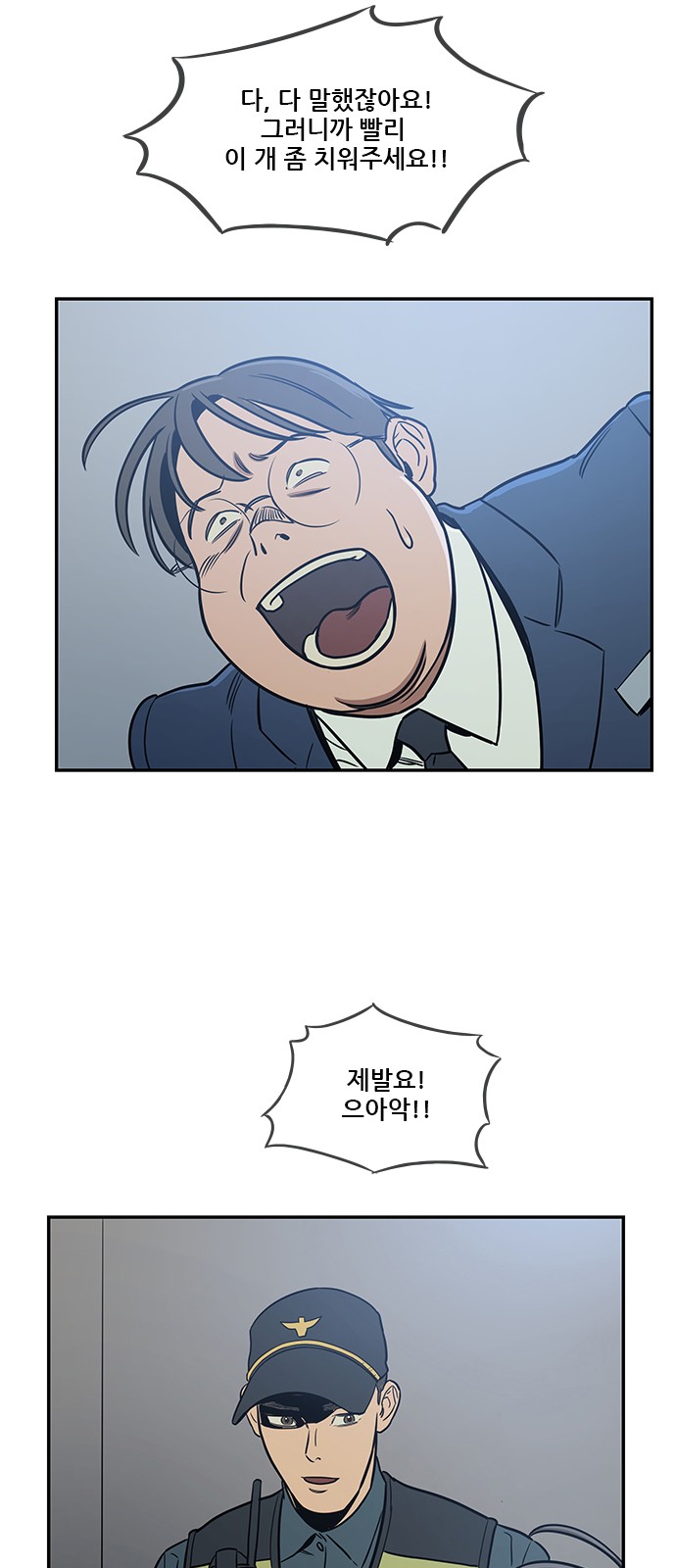 12 페이지