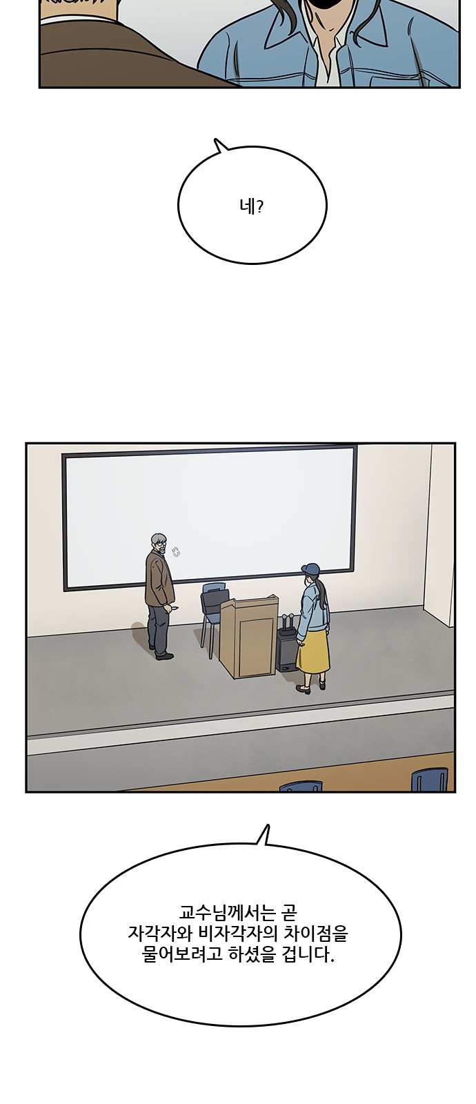 46 페이지