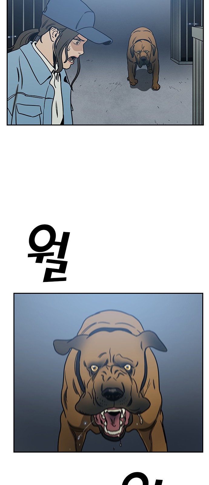 11 페이지