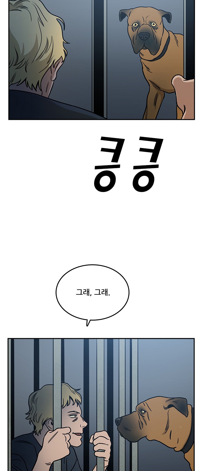 15 페이지