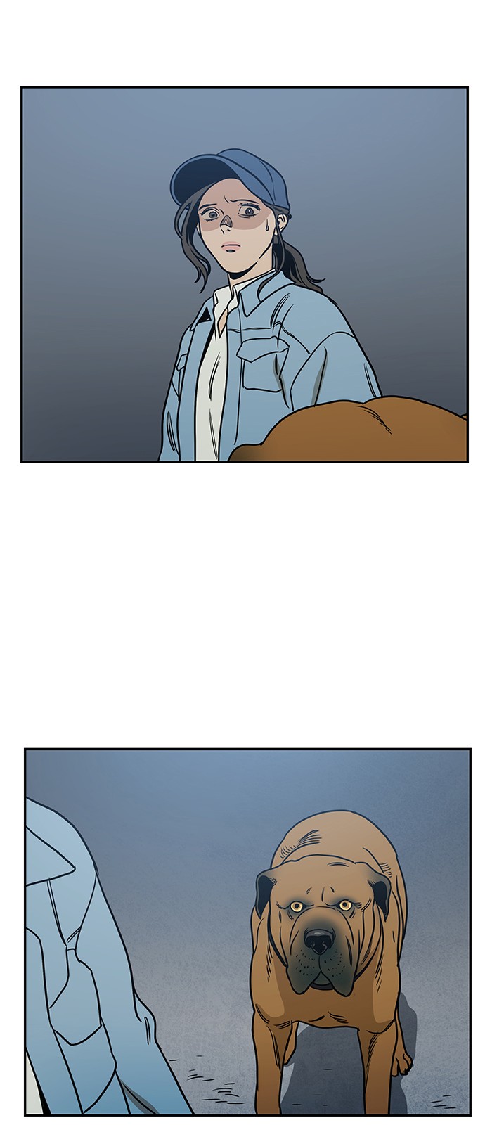 54 페이지