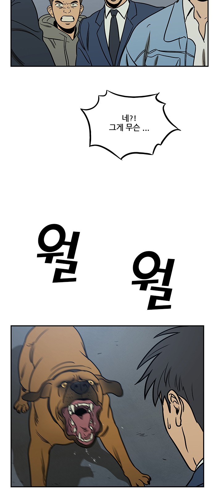 45 페이지