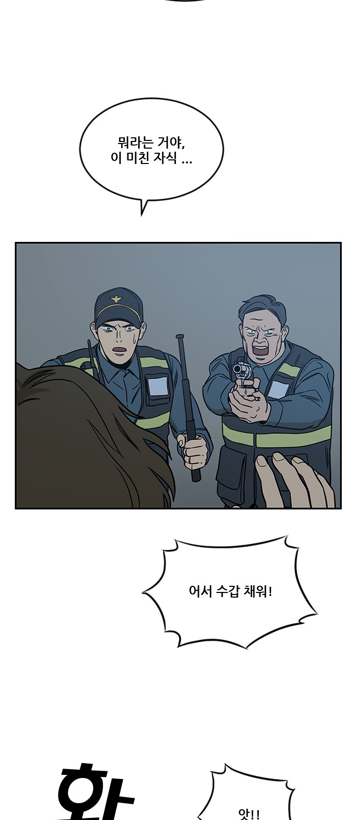 66 페이지