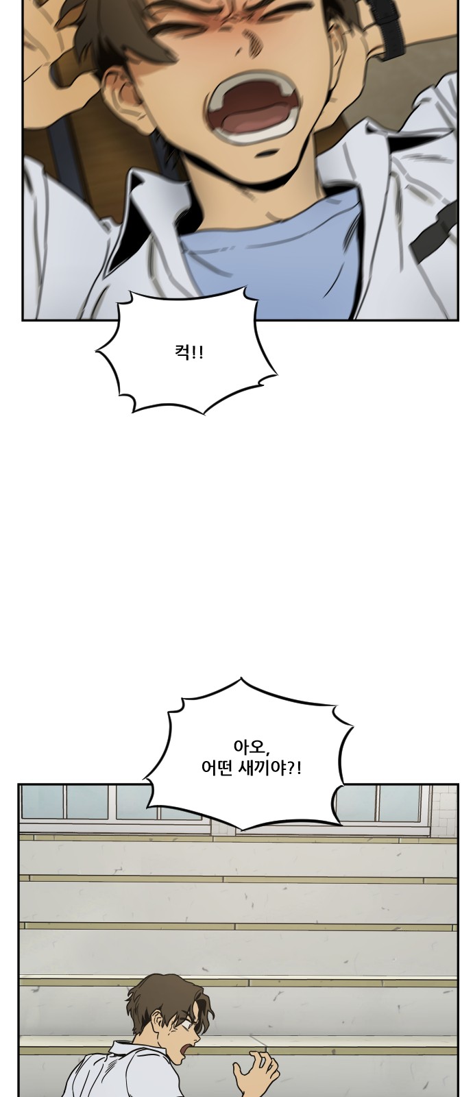 13 페이지