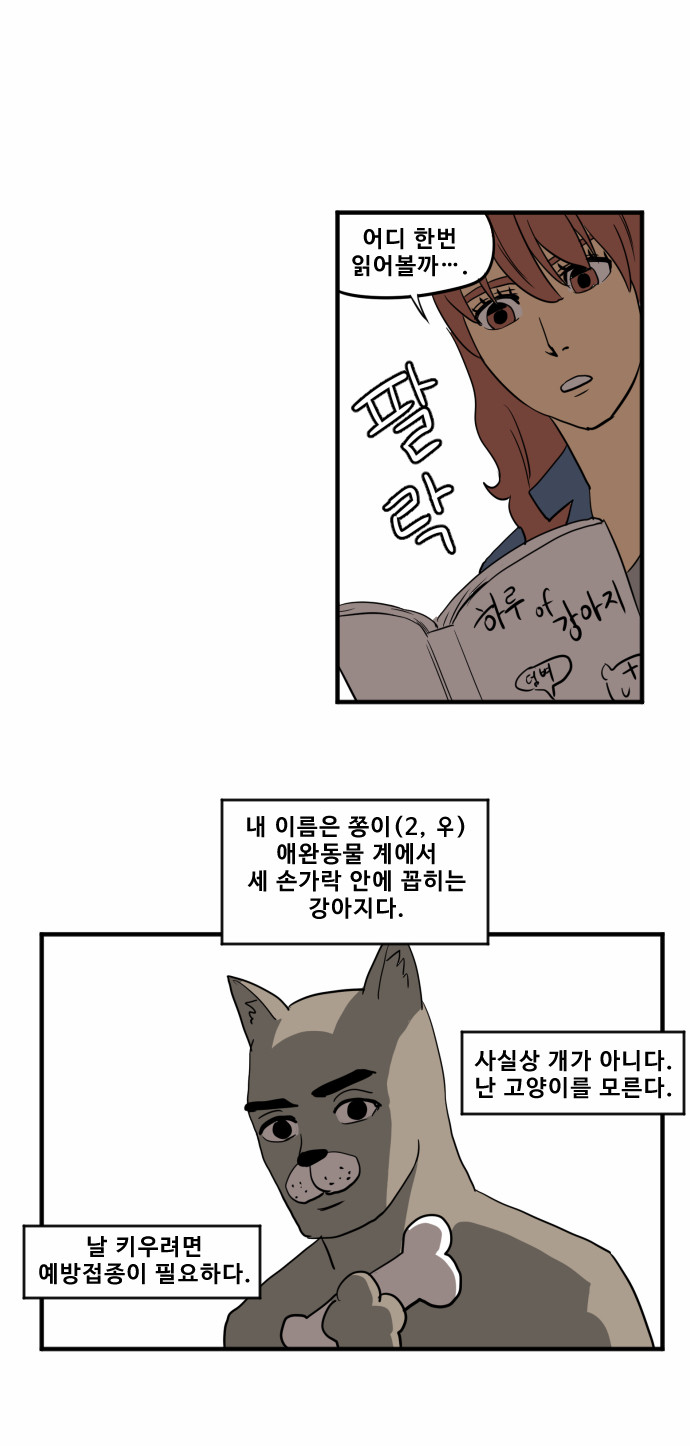 14 페이지