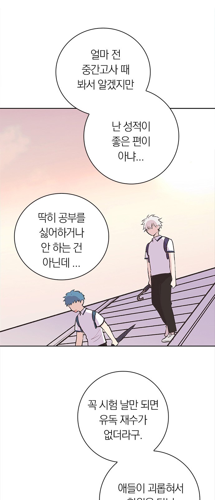 20 페이지