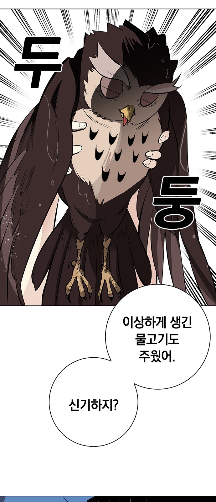 52 페이지