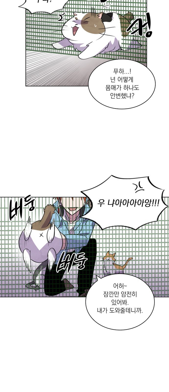 40 페이지
