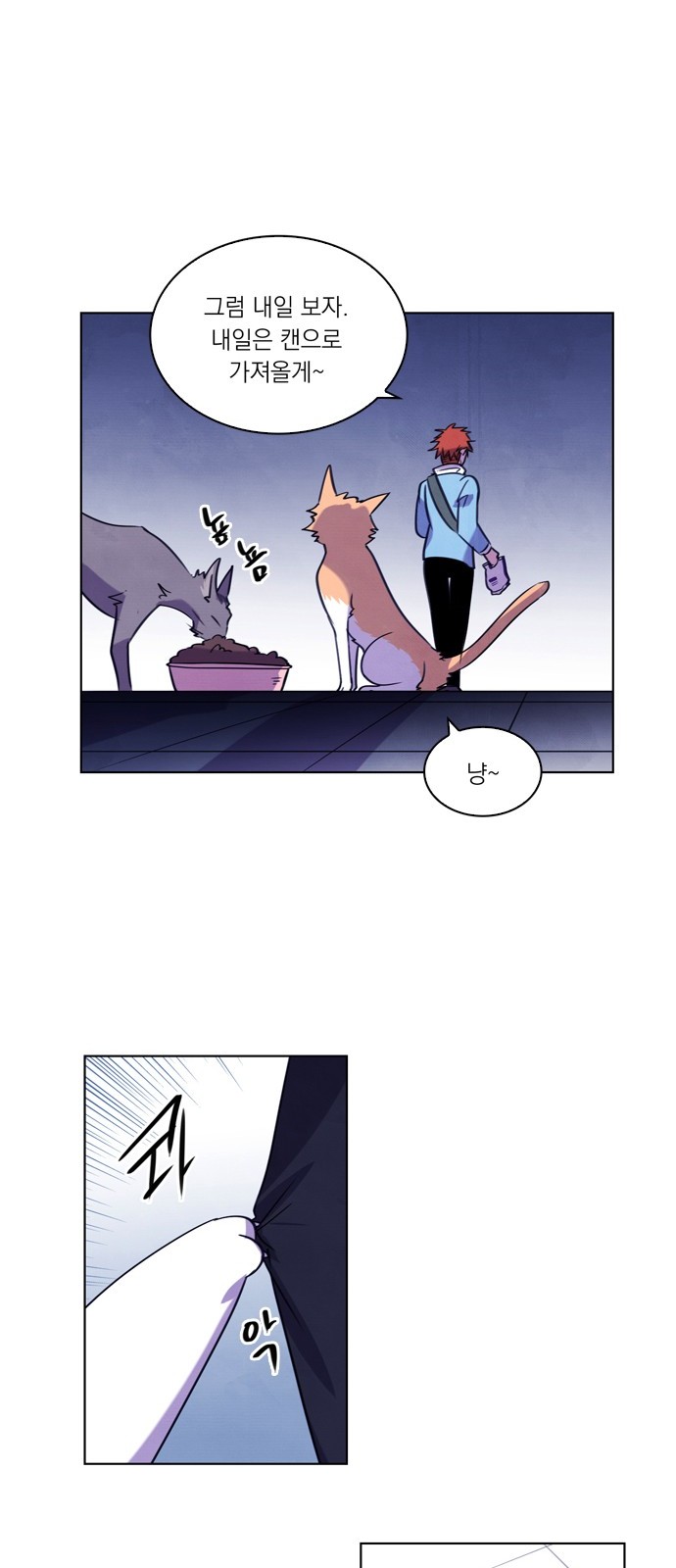 41 페이지