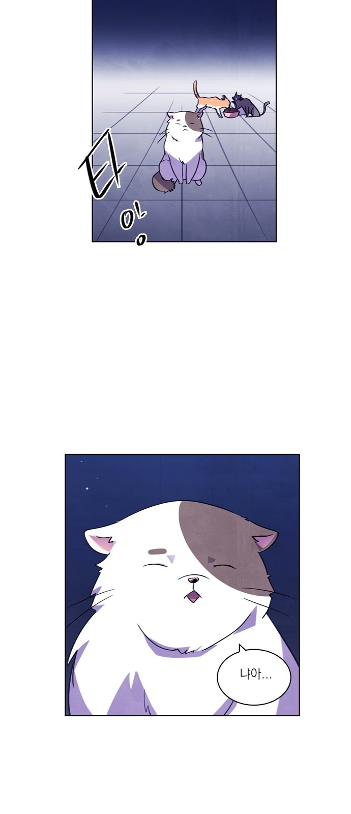 43 페이지