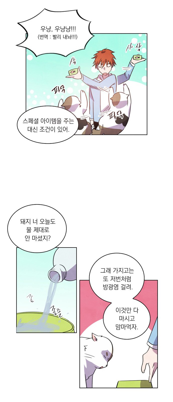 41 페이지