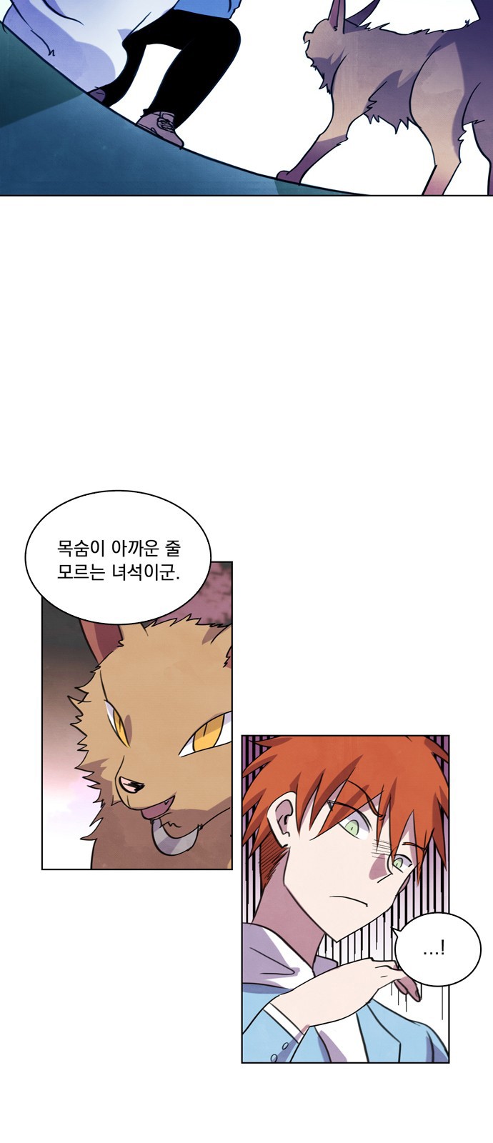 11 페이지