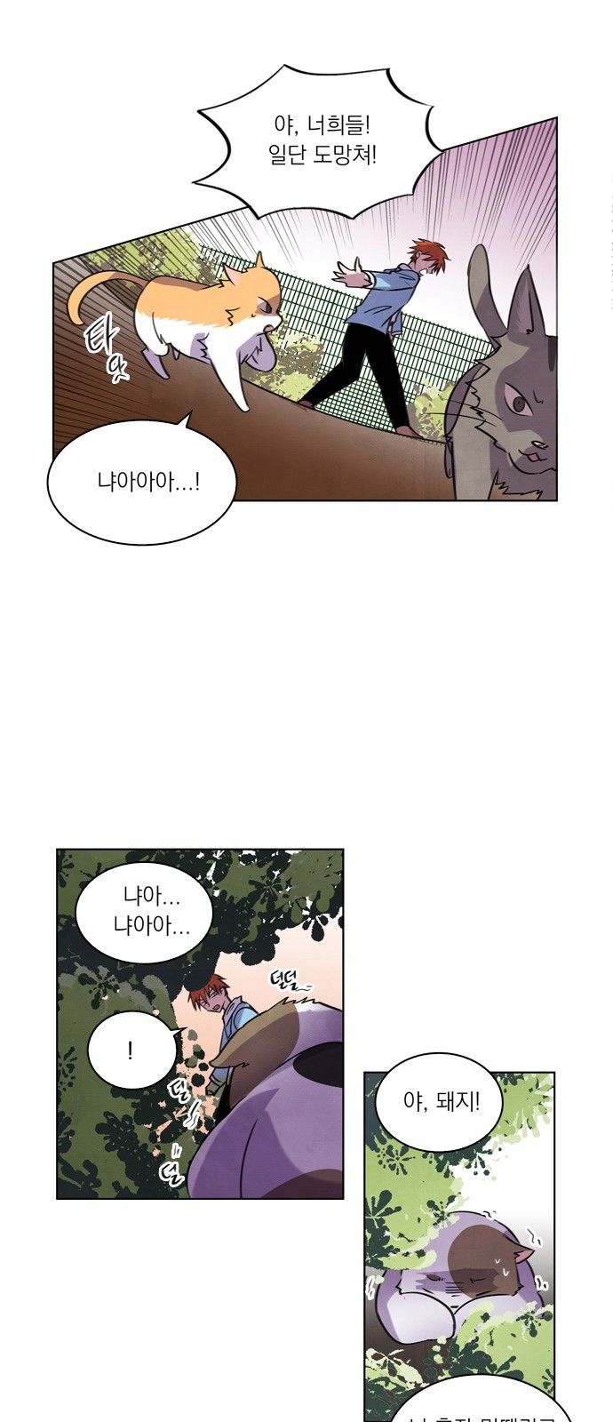14 페이지