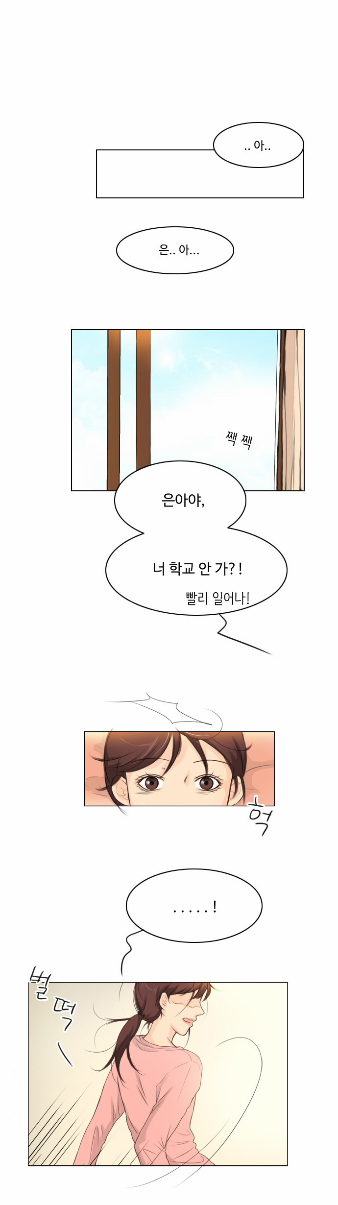 29 페이지