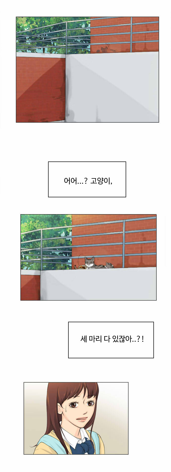 8 페이지