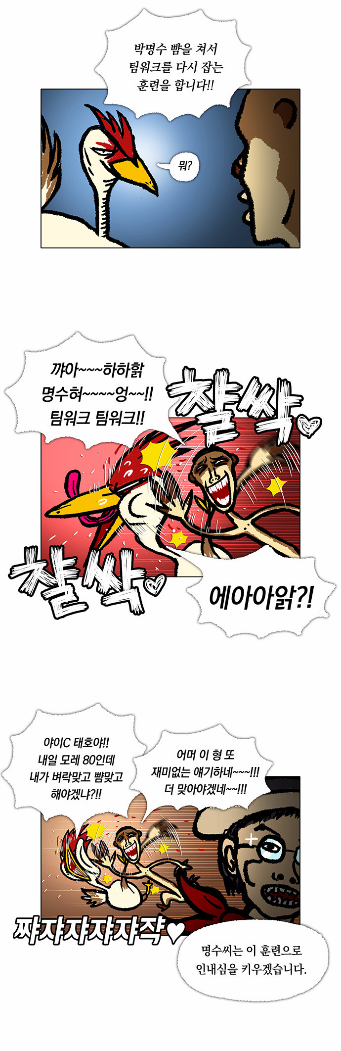 17 페이지