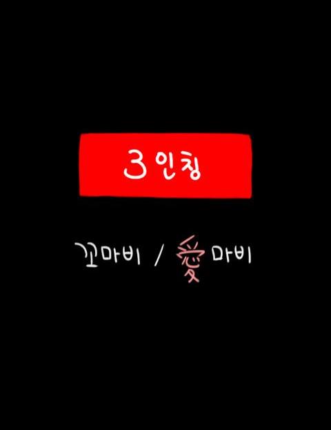 3인칭