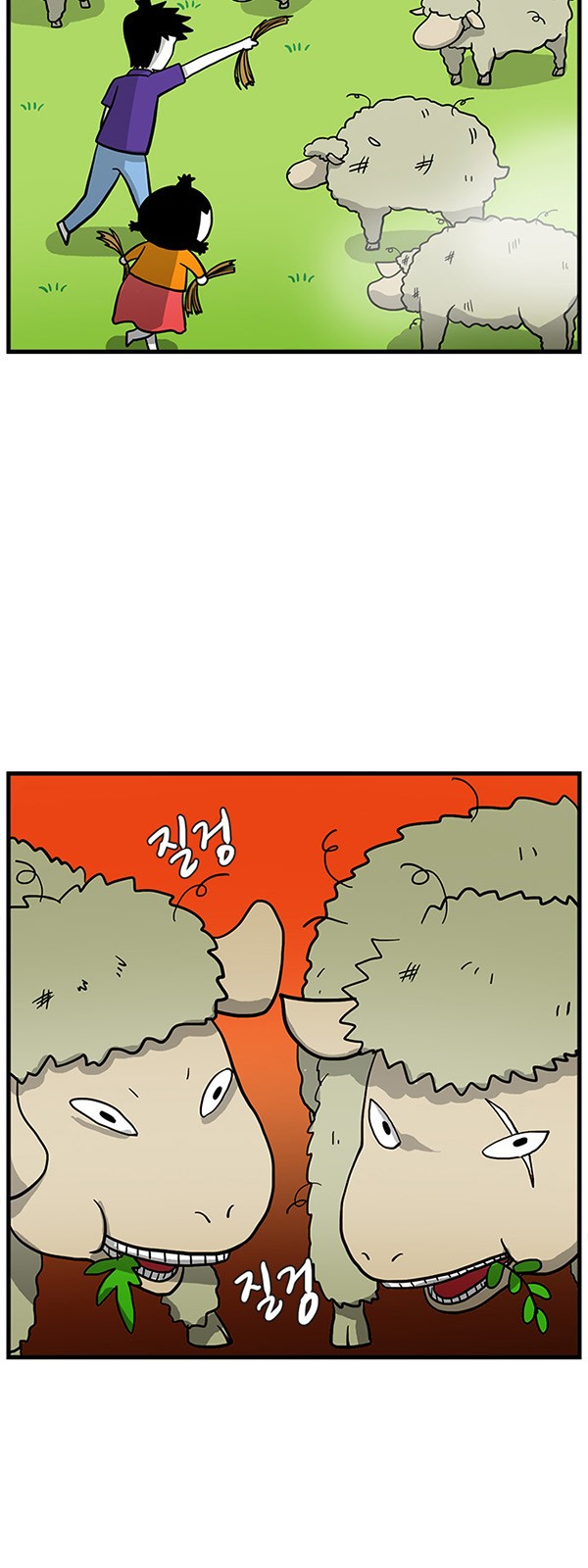 13 페이지