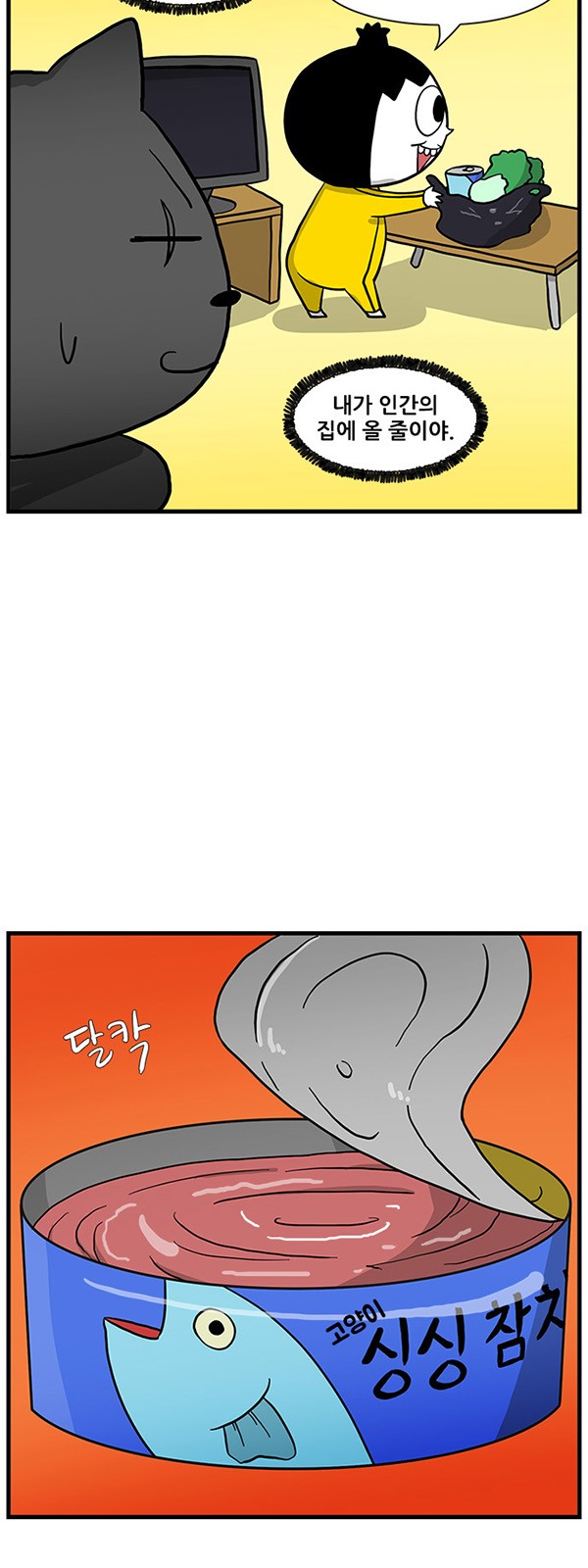 11 페이지