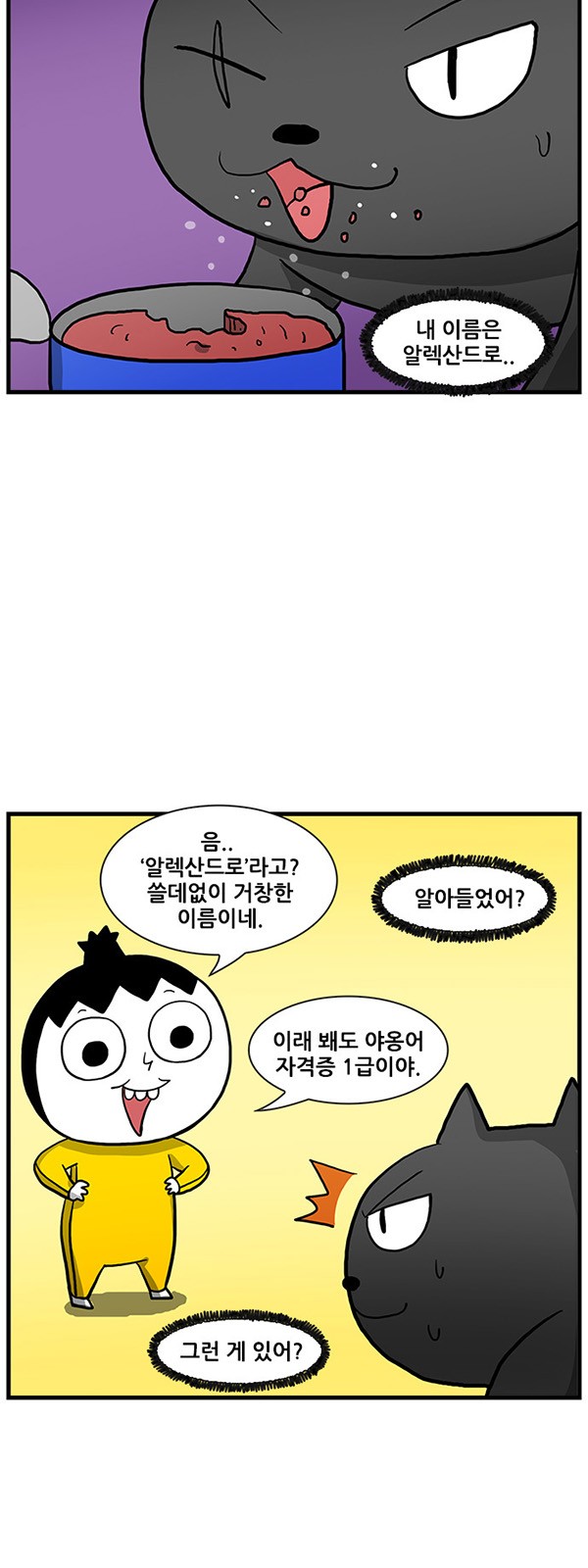 13 페이지