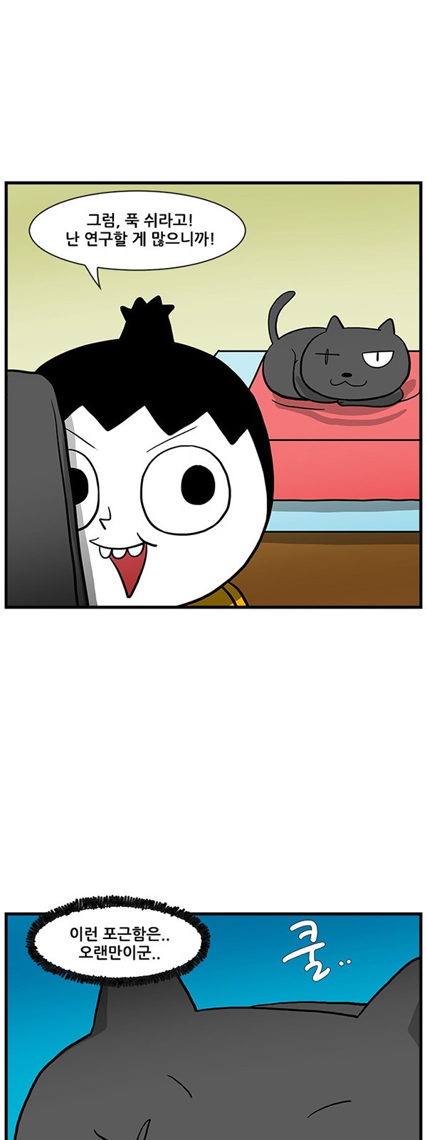 14 페이지