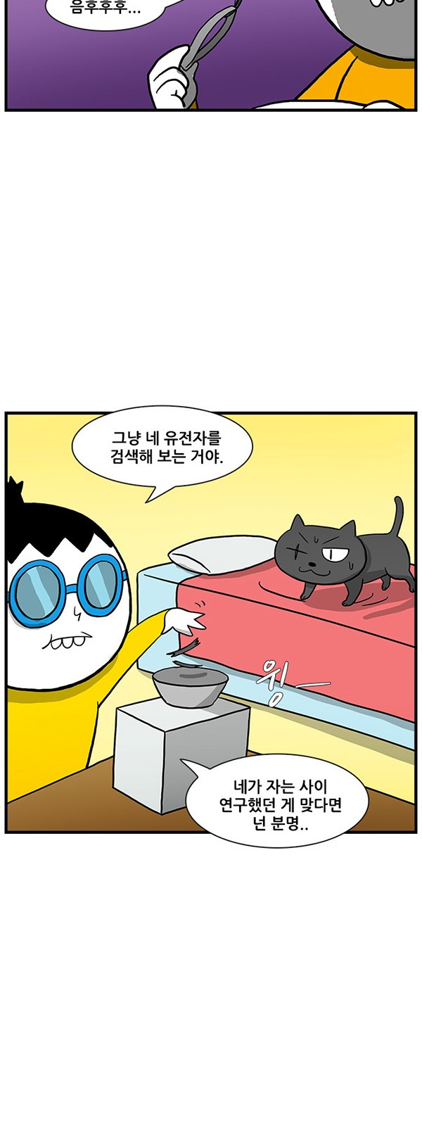 17 페이지
