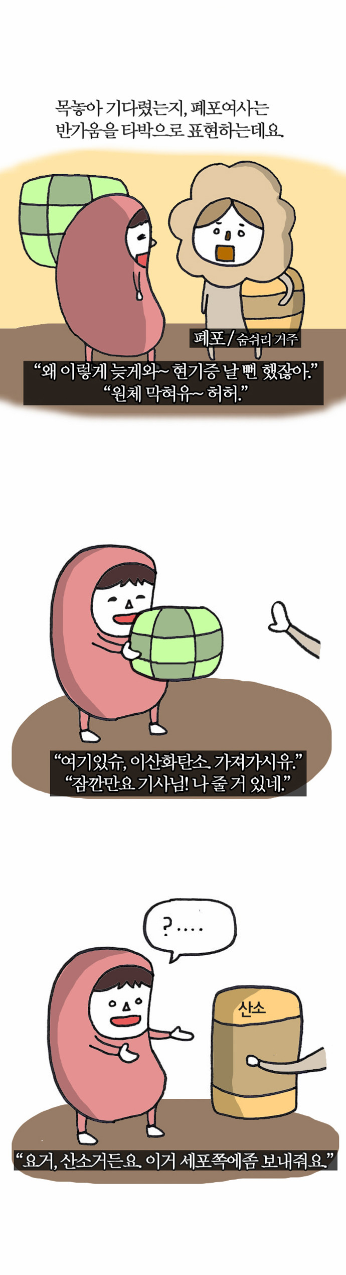 5 페이지