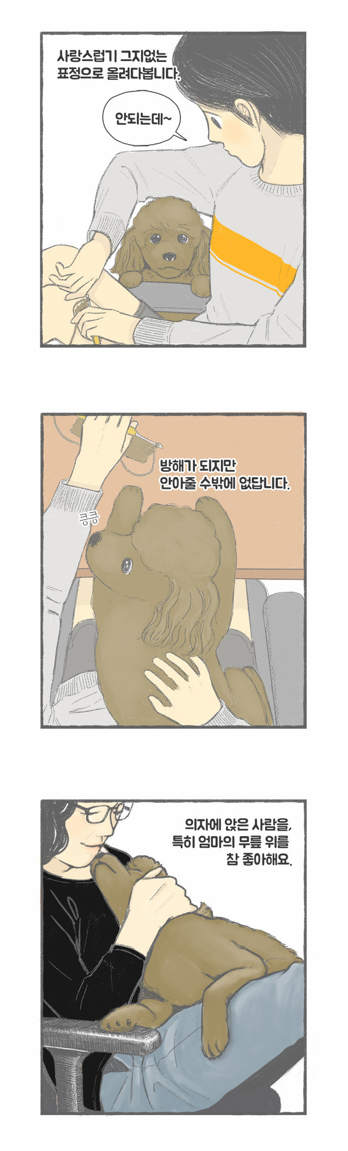 3 페이지