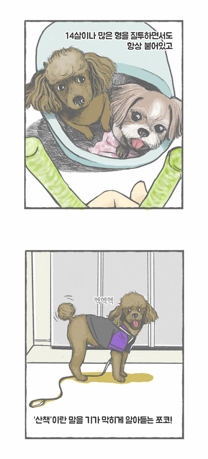 4 페이지