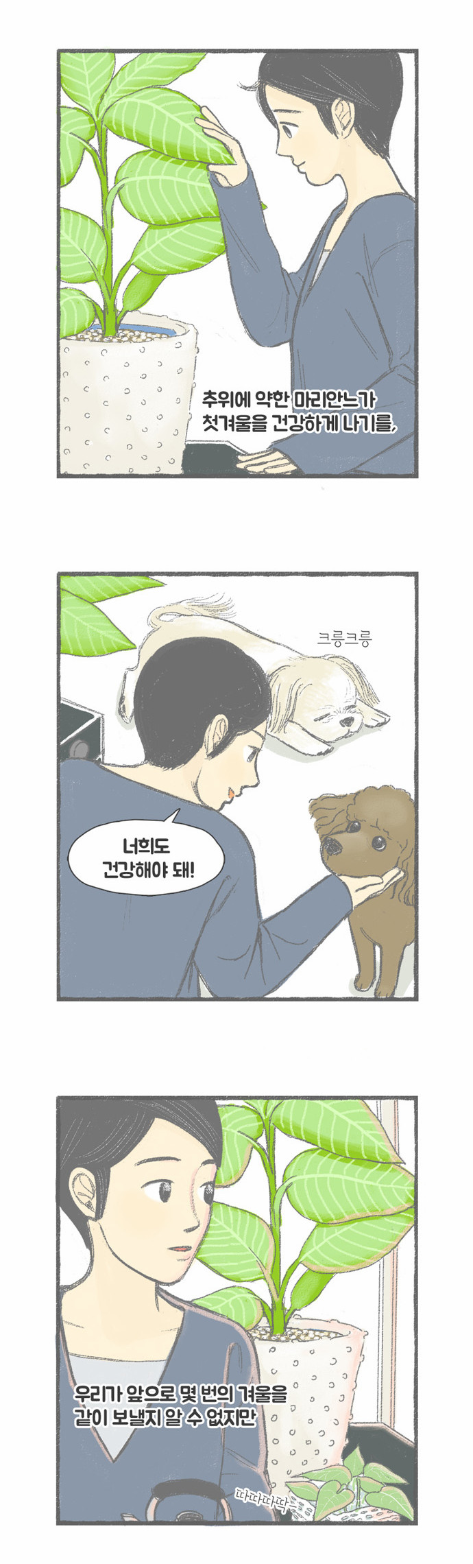 11 페이지