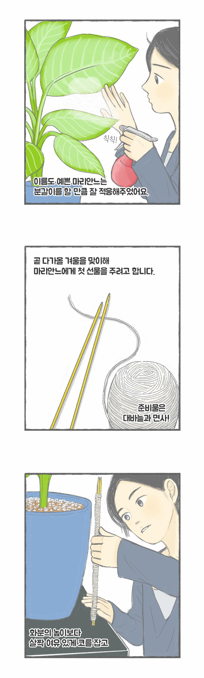 5 페이지