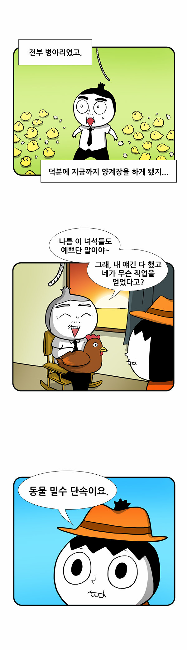 11 페이지