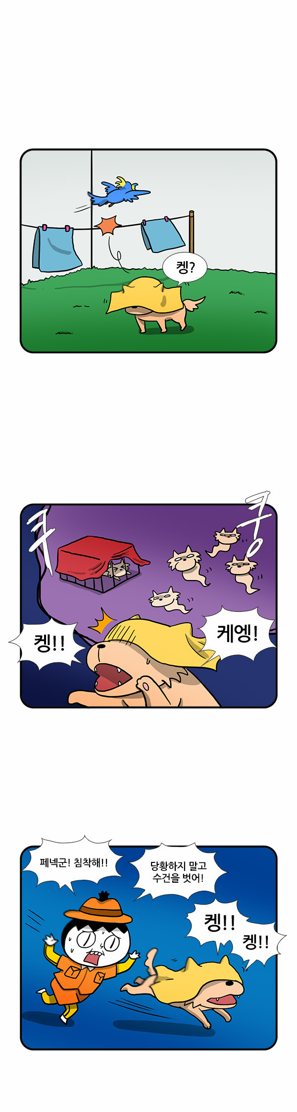 3 페이지