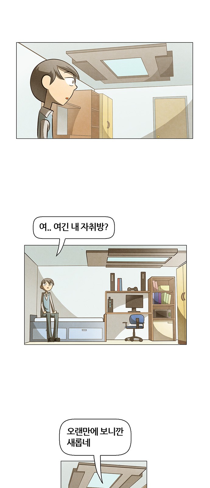 13 페이지
