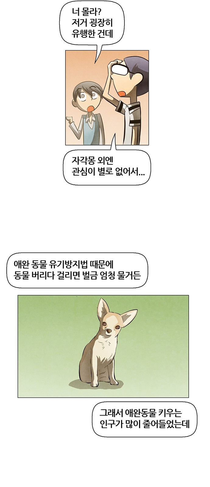 40 페이지