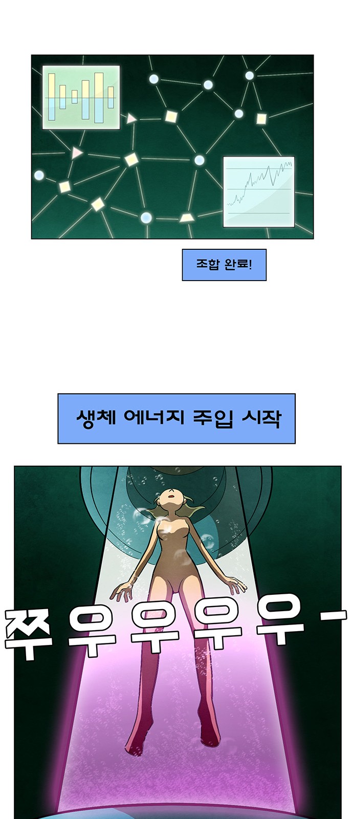 33 페이지