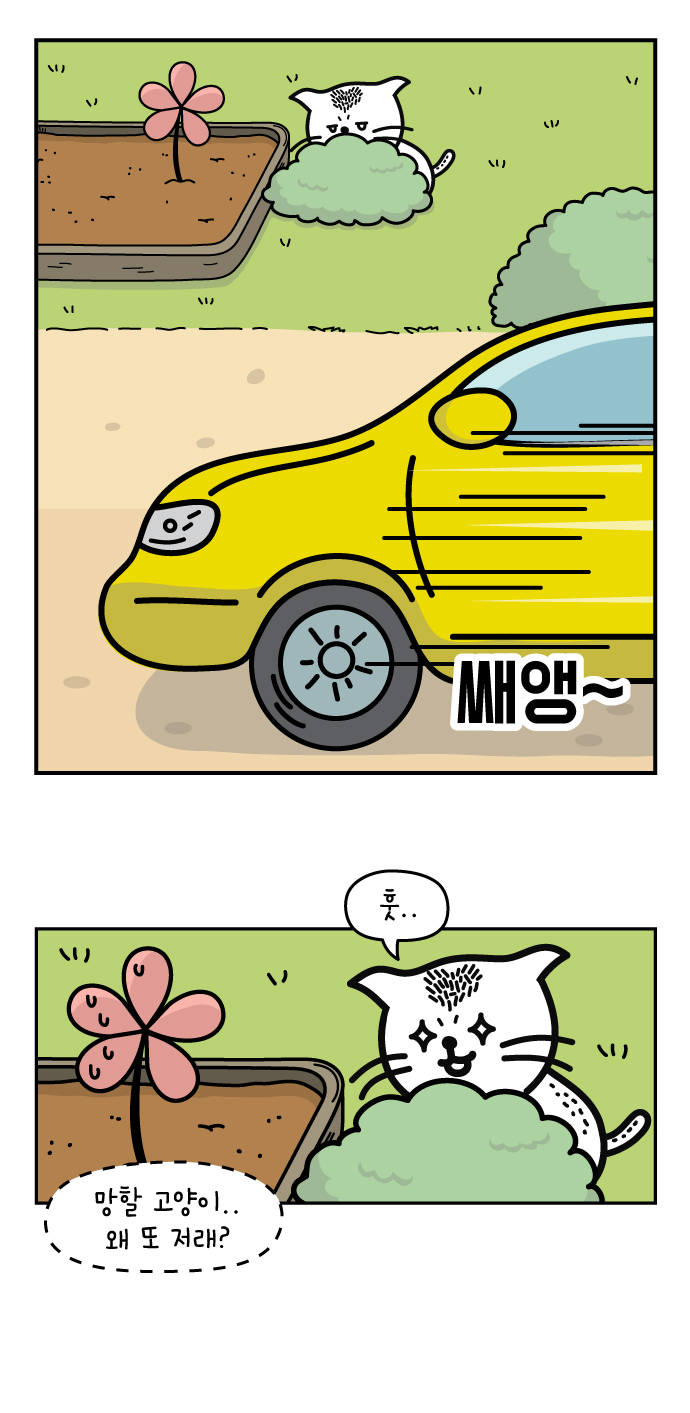 5 페이지