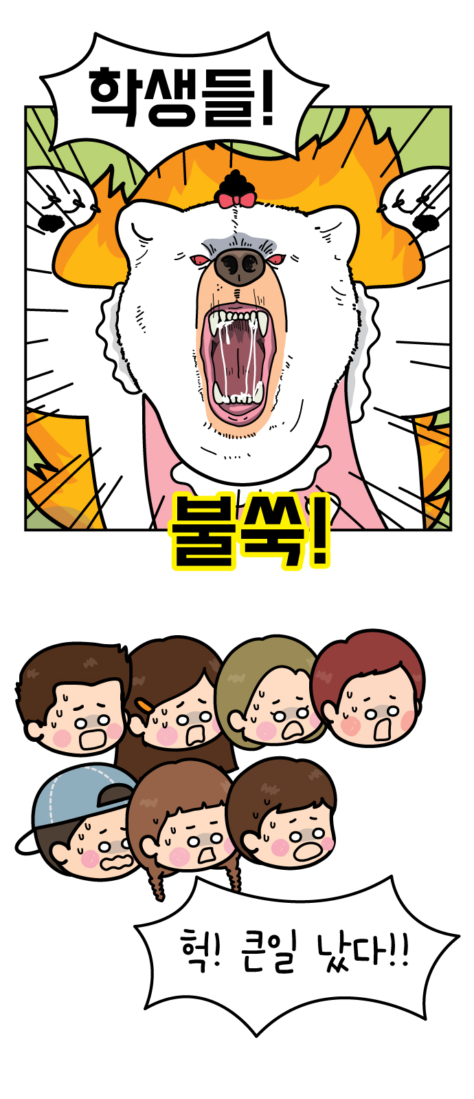 17 페이지