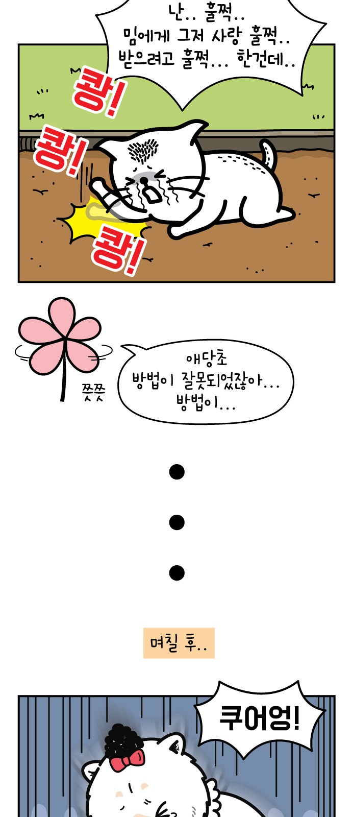20 페이지