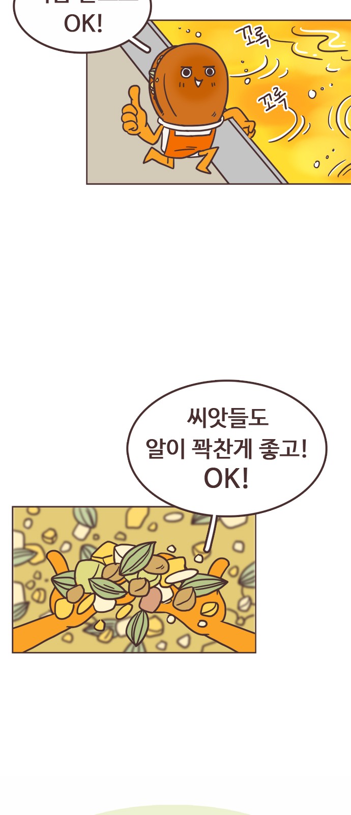 50 페이지