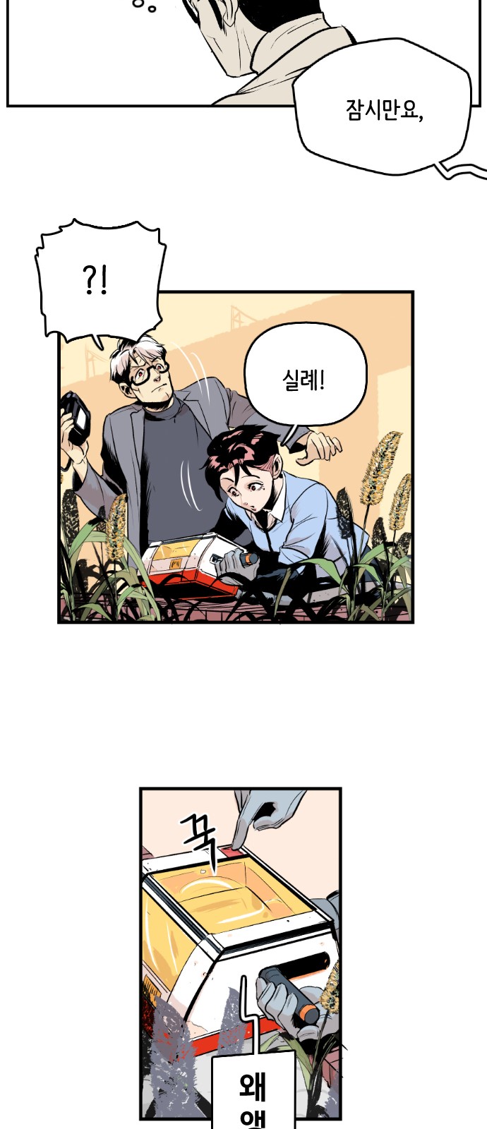 26 페이지